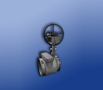 �o(w��)�p䓹�